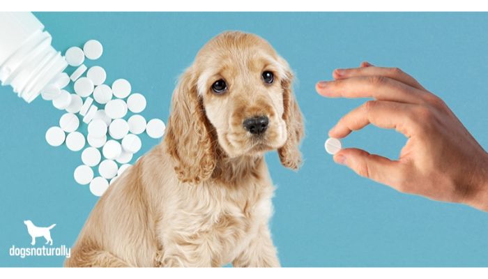 Aspirin to dogs