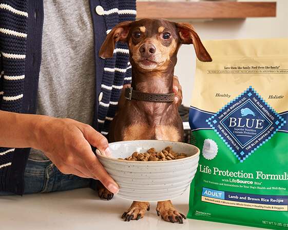Blue Buffalo for Dogs