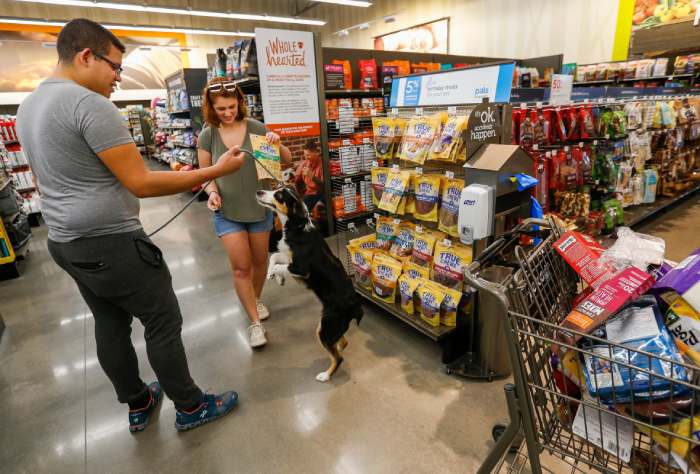 Dogs in Home Depot Stores