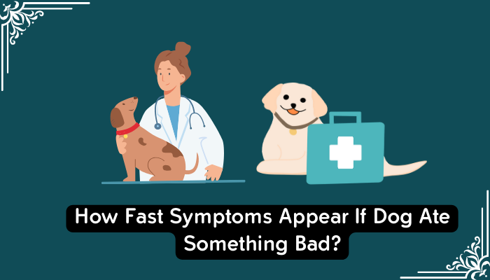 How Fast Symptoms Appear If Dog Ate Something Bad