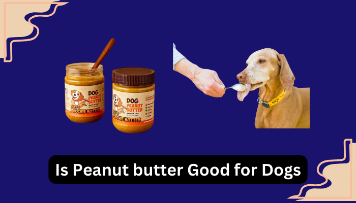 Is Peanut butter Good for Dogs