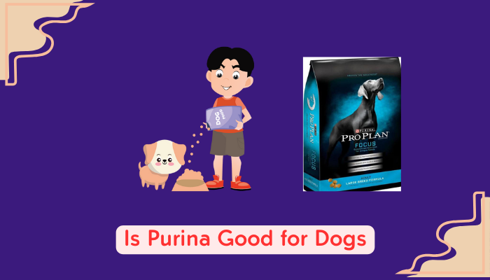 Is Purina Good for Dogs