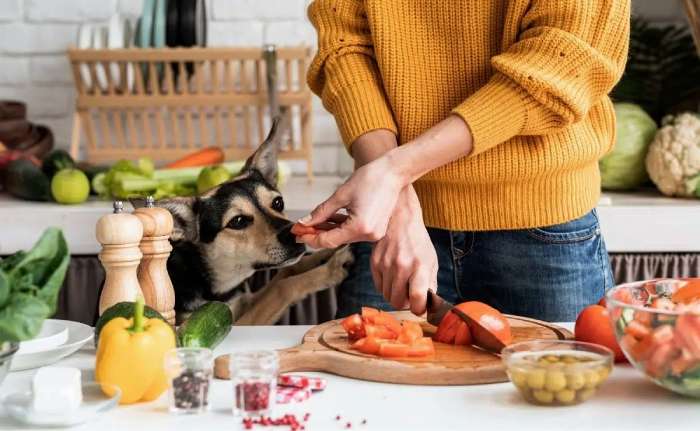 Other Fruits and Snacks for Dogs