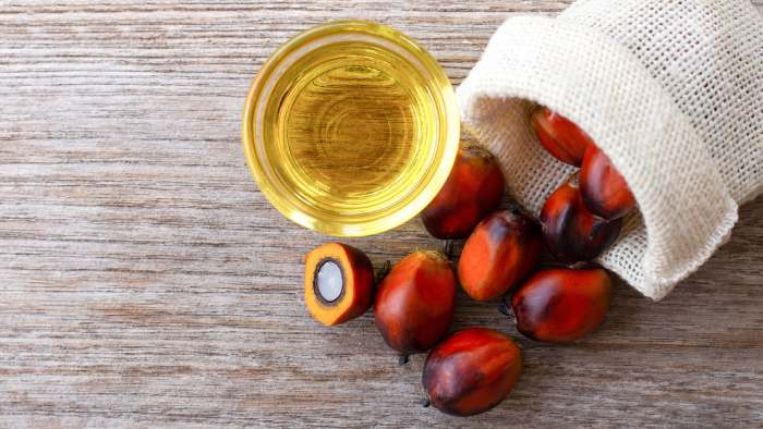 PALM OIL FOR DOGS FOOD