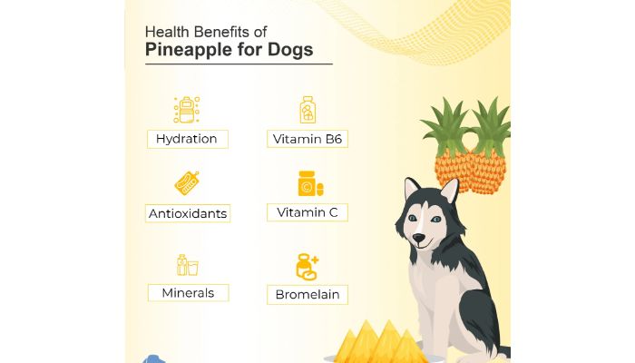 Pineapple benefits