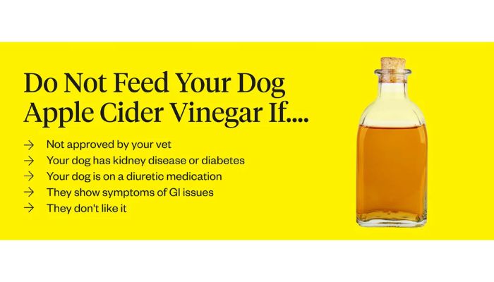 Risks of consumption of vinegar to dogs