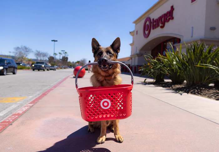 Target's Pet Policy Guidelines