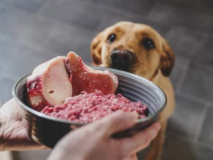 beef liver food for dogs