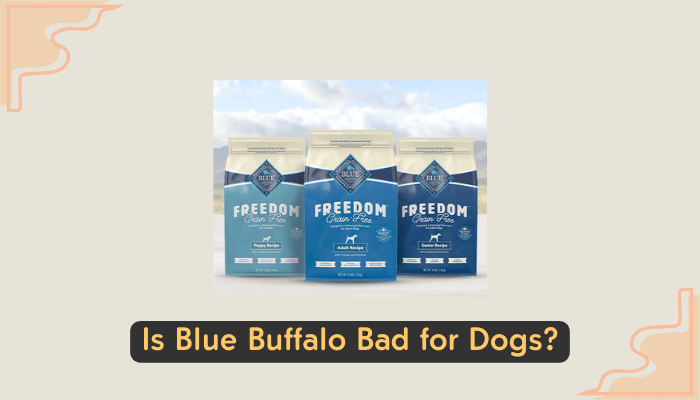 blue buffalo dog food
