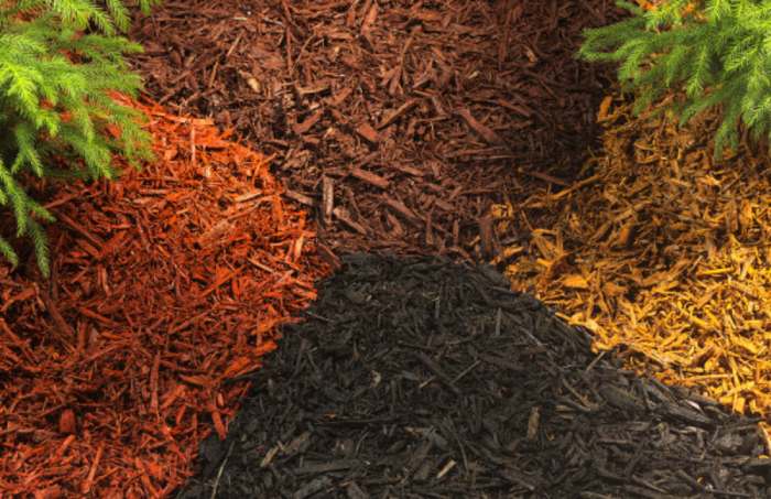 different Types of Mulch