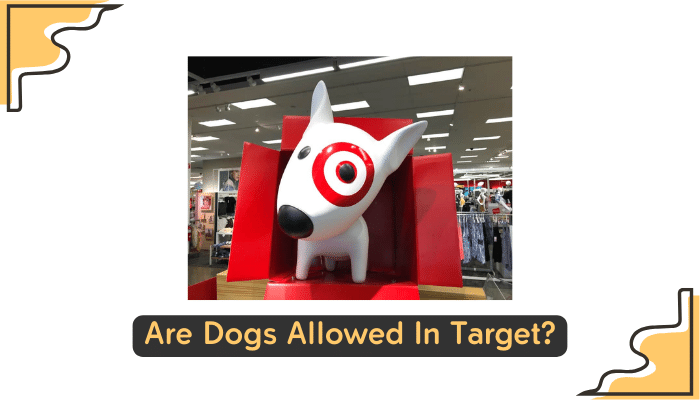 dogs allowed in target