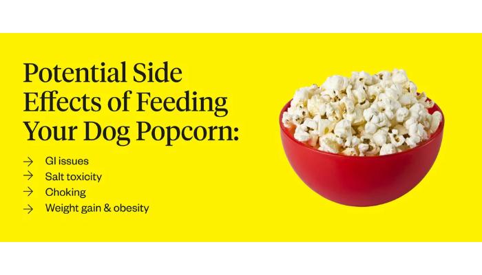 effects of popcorn to dogs