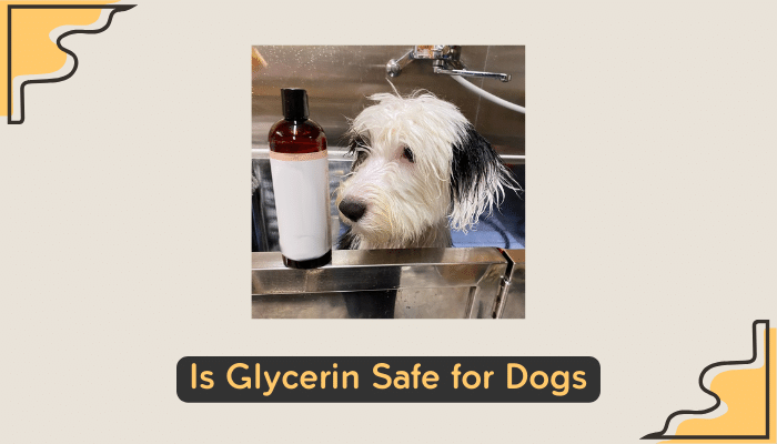 glycerin and dogs safety