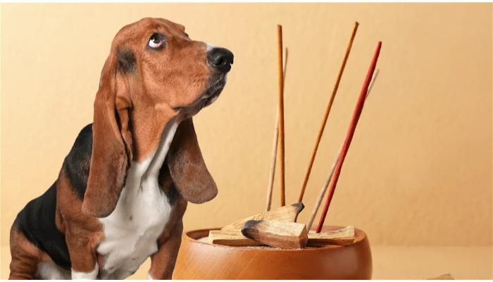 incense bad for dogs