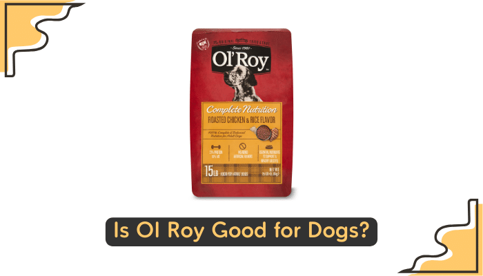 ol roy dog food