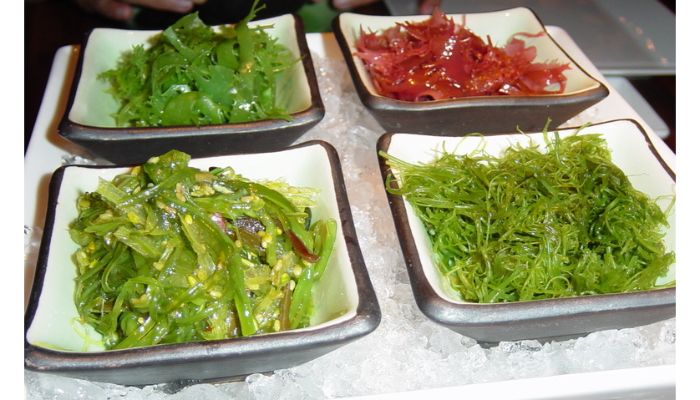 seaweed types