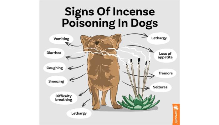 signs of incense poisoning in dogs