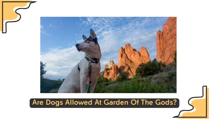 Are Dogs Allowed At Garden Of The Gods