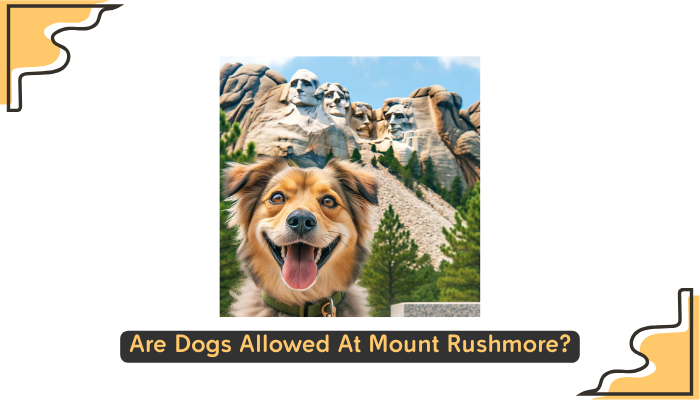 Are Dogs Allowed At Mount Rushmore