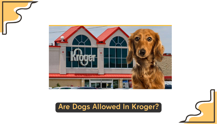 Are Dogs Allowed In Kroger