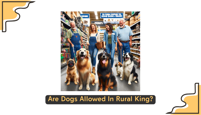 Are Dogs Allowed In Rural King