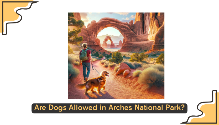 Are Dogs Allowed in Arches National Park