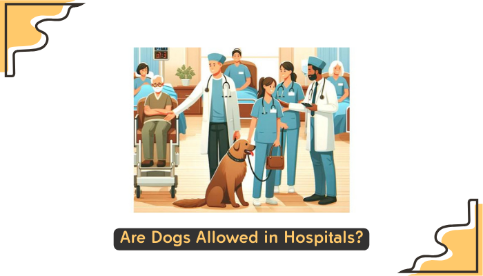 Are Dogs Allowed in Hospitals