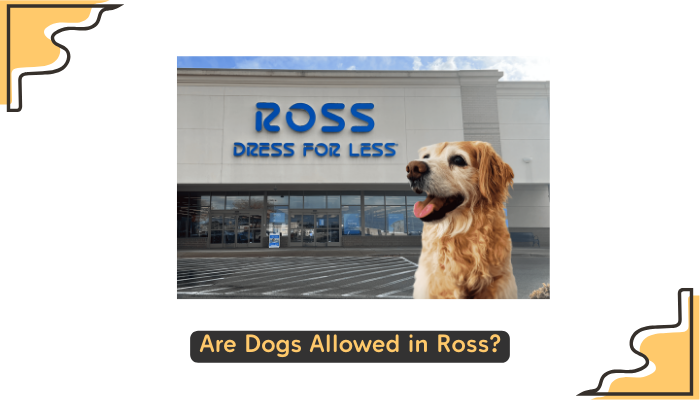 Are Dogs Allowed in Ross