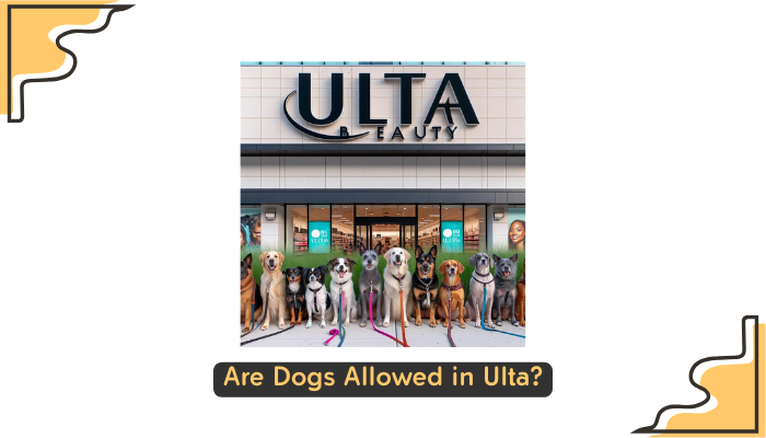 Are Dogs Allowed in Ulta