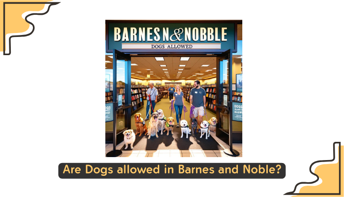 Are Dogs allowed in Barnes and Noble