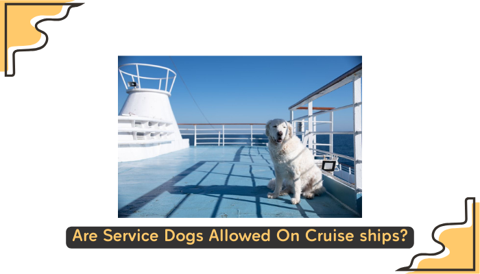 Are Service Dogs Allowed On Cruise ships
