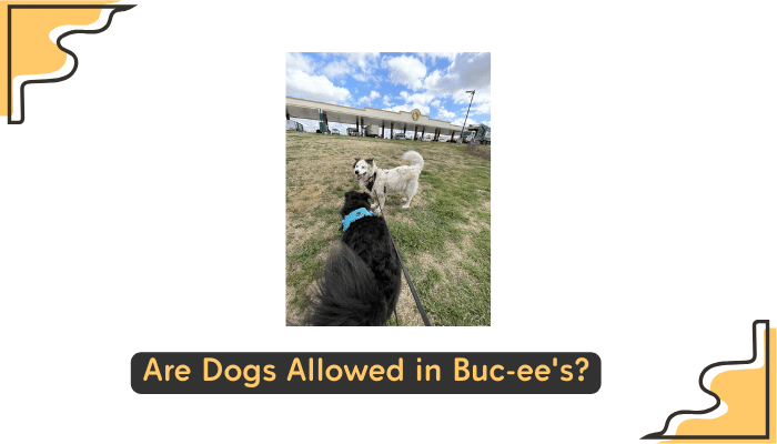 Buc-ee's Pet Policy guidelines