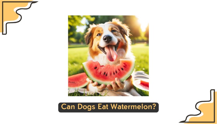 Can Dogs Eat Watermelon