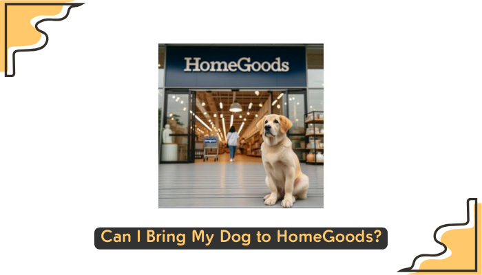 Can I Bring My Dog to HomeGoods