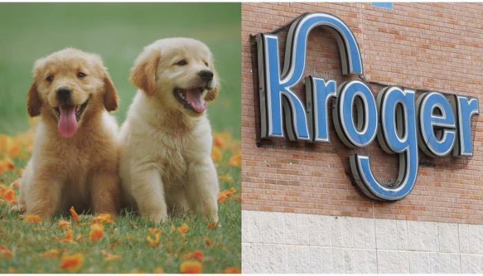 Does Kroger allows dogs in kroger