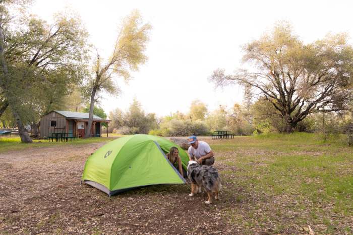 Dog Camping in Yosemite