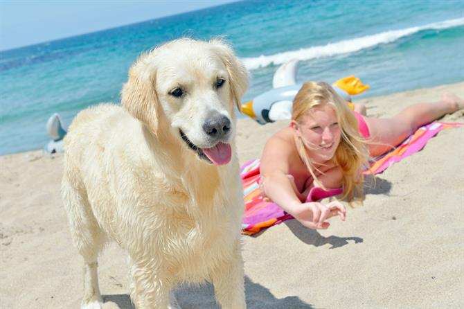 Dog-Friendly Areas on Cocoa Beach