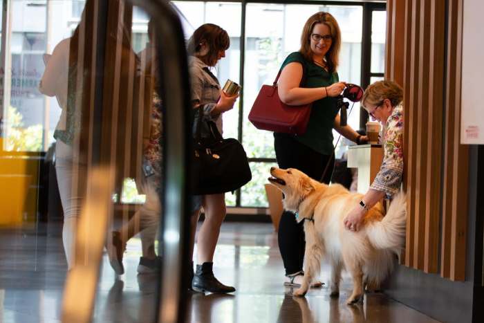 Dog-Friendly Mall Visit