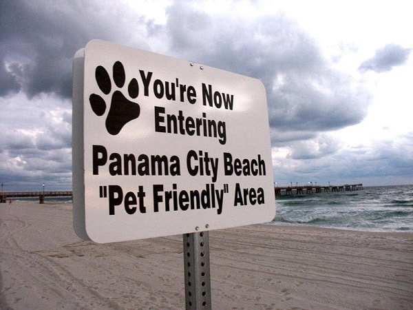 Dog-Friendly Shores