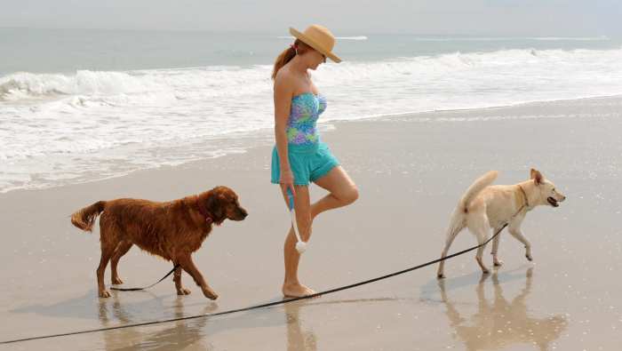 Dogs Allowed on Cocoa Beach