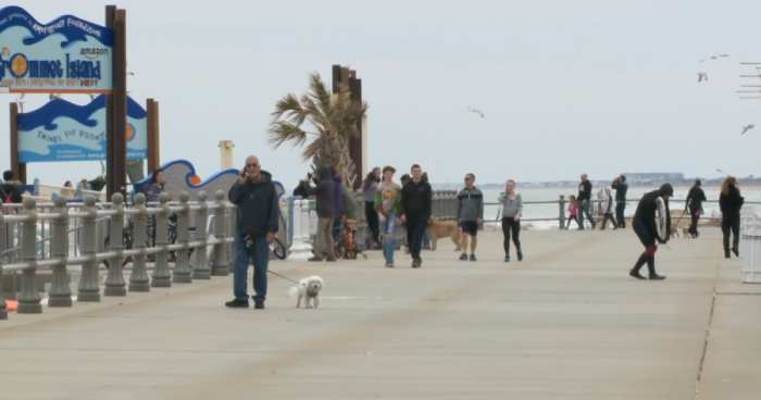 Dogs Allowed on Virginia Beach