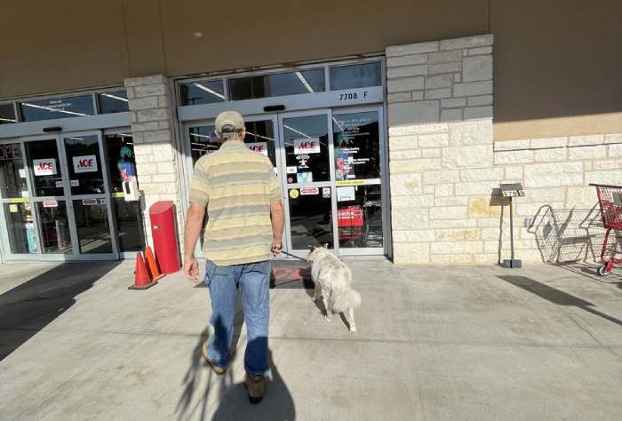 Dogs in Ace Hardware