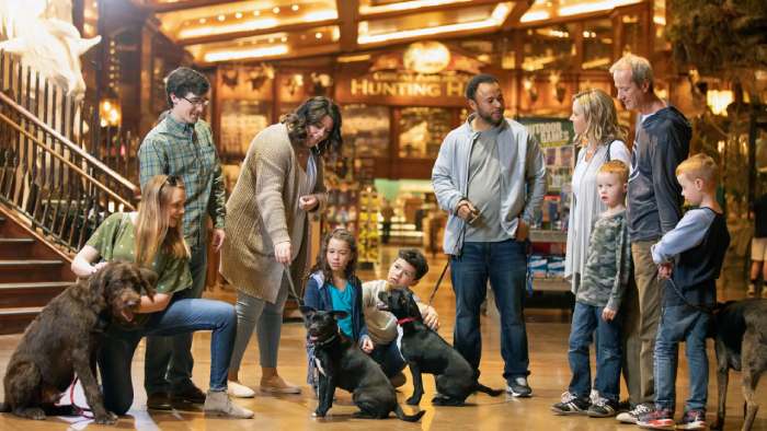 Dogs in Cabela's store