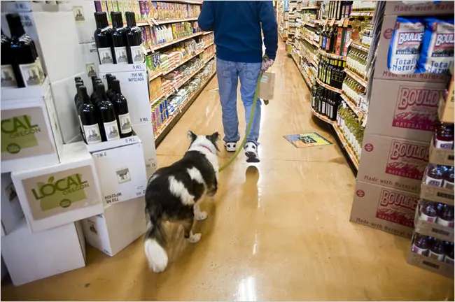 Dogs in Whole Foods