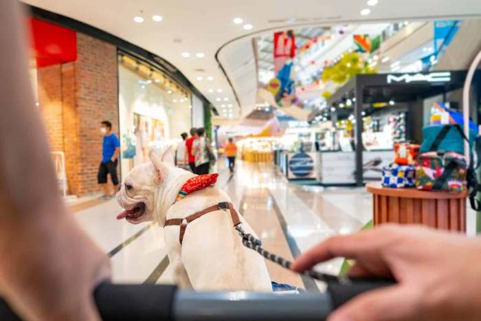 Dogs in the Mall