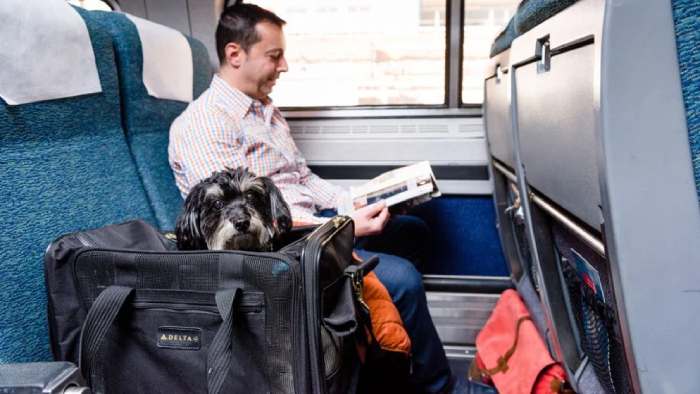 Dogs on Amtrak