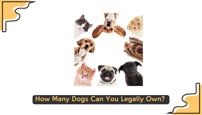 How Many Dogs Can You Legally Own