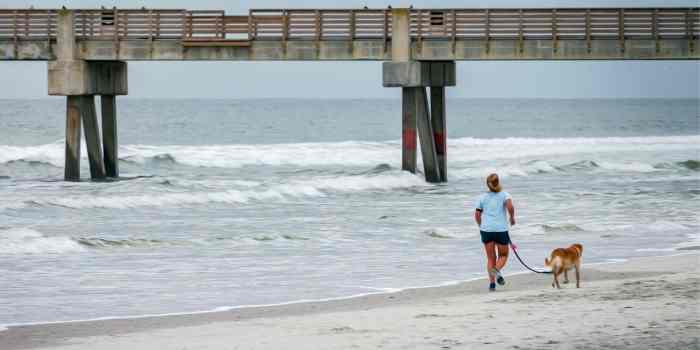 Jacksonville Beach dog policy