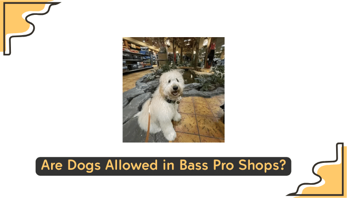 dog friendly policy at bass pro shops