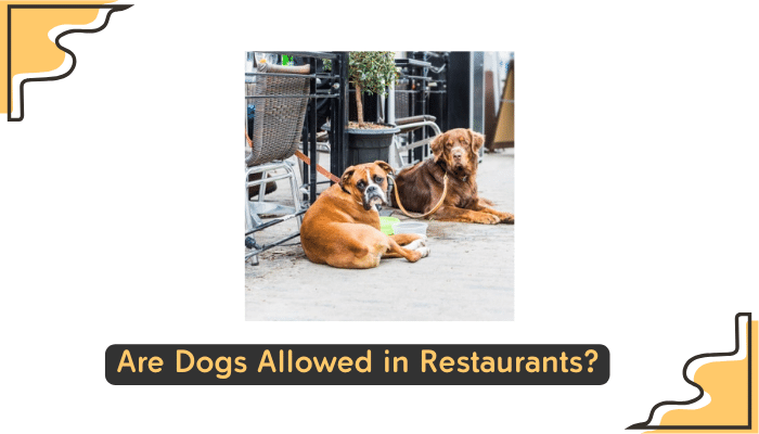 dog friendly restaurants